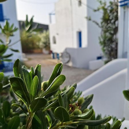 Εvi Evan Hotel ガリッサス エクステリア 写真